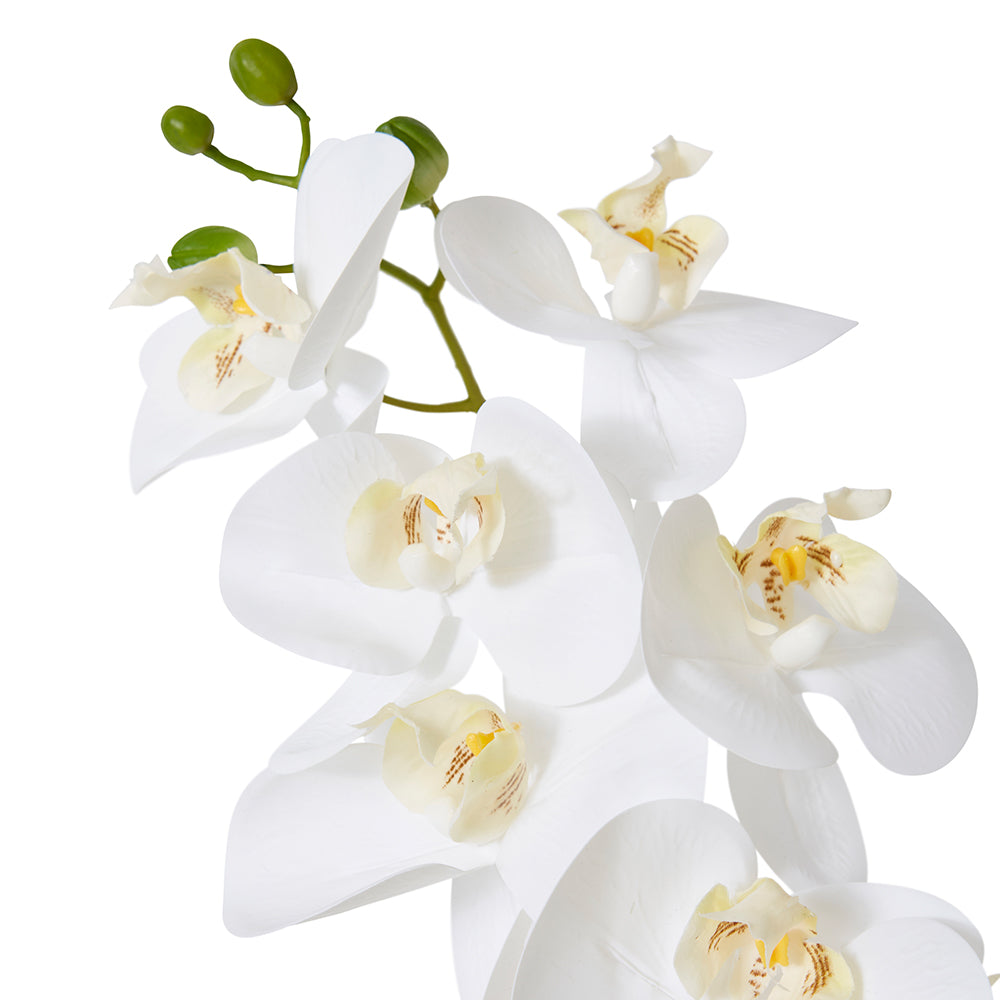 Phalaenopsis Round Bowl - White