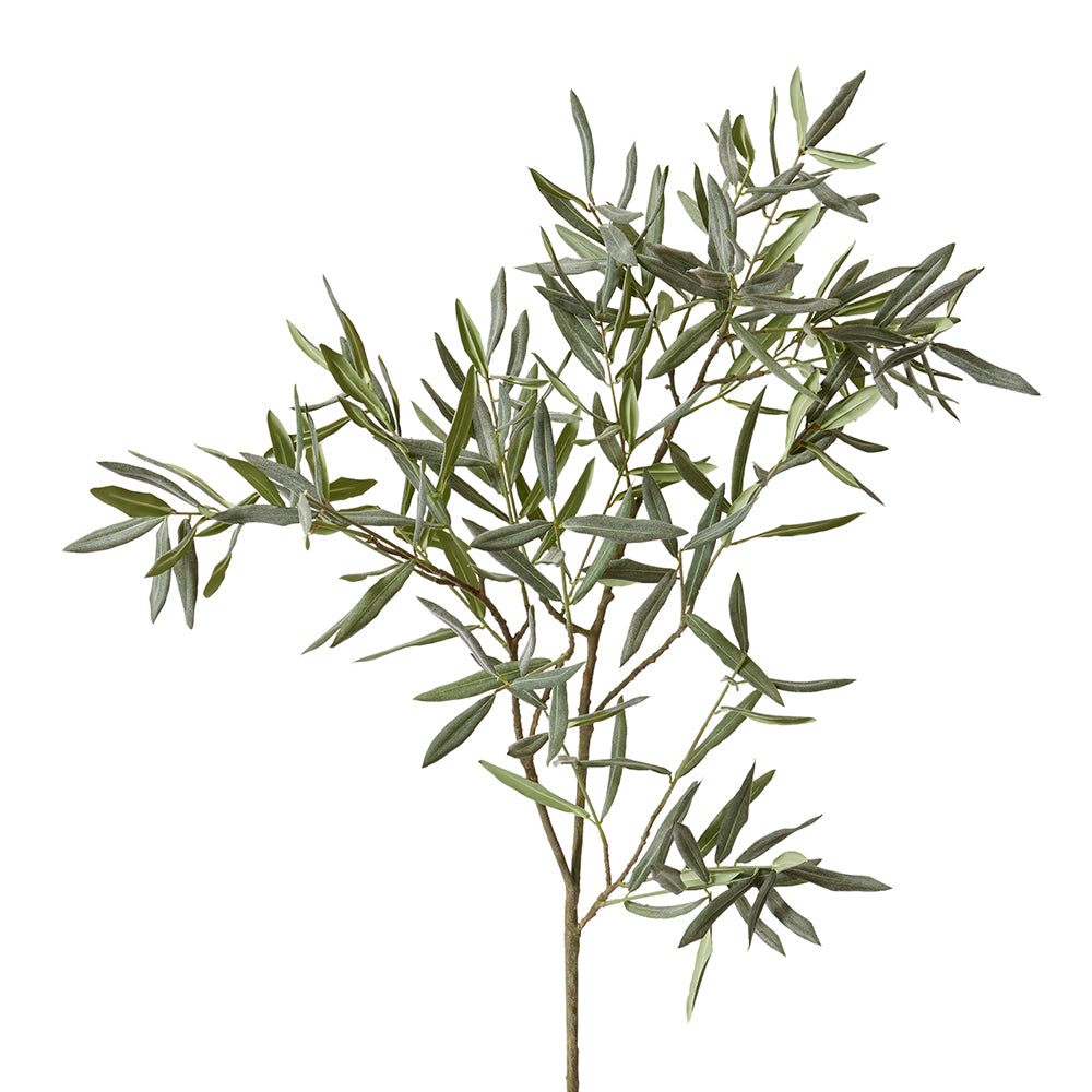 Olive Branch - Grey/Green