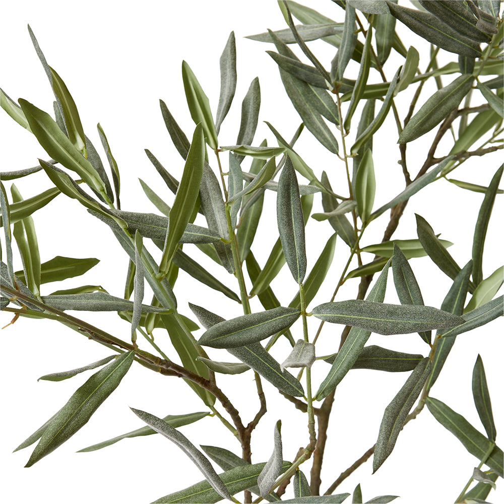 Olive Branch - Grey/Green – Koko Lane Richmond